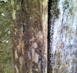 お風呂・浴室・水周りリフォーム