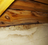 フローリングリフォーム